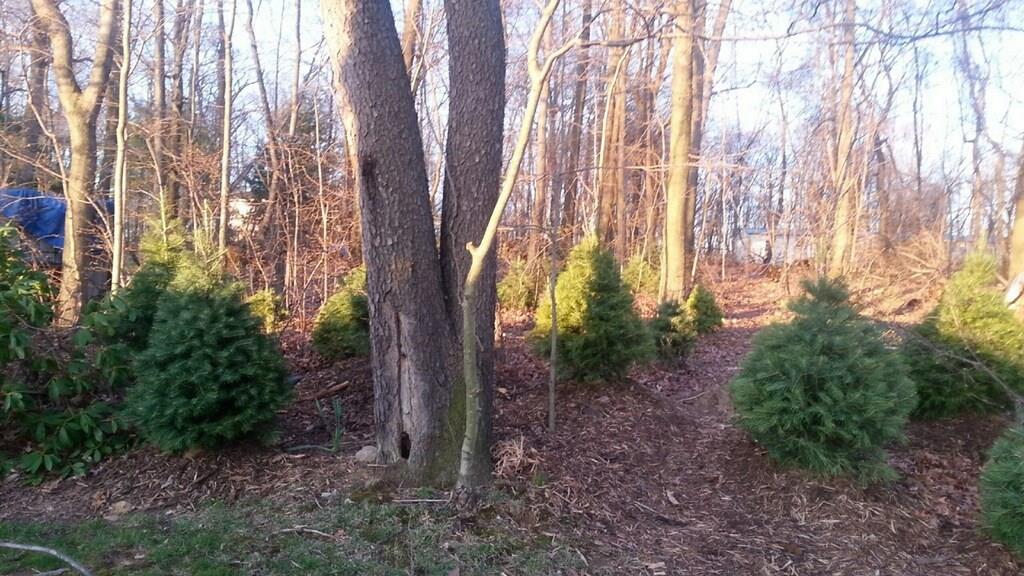 333 Cornetti Road Fenelton, PA 16034 - Photo 6 of 6 Gallery Image 6