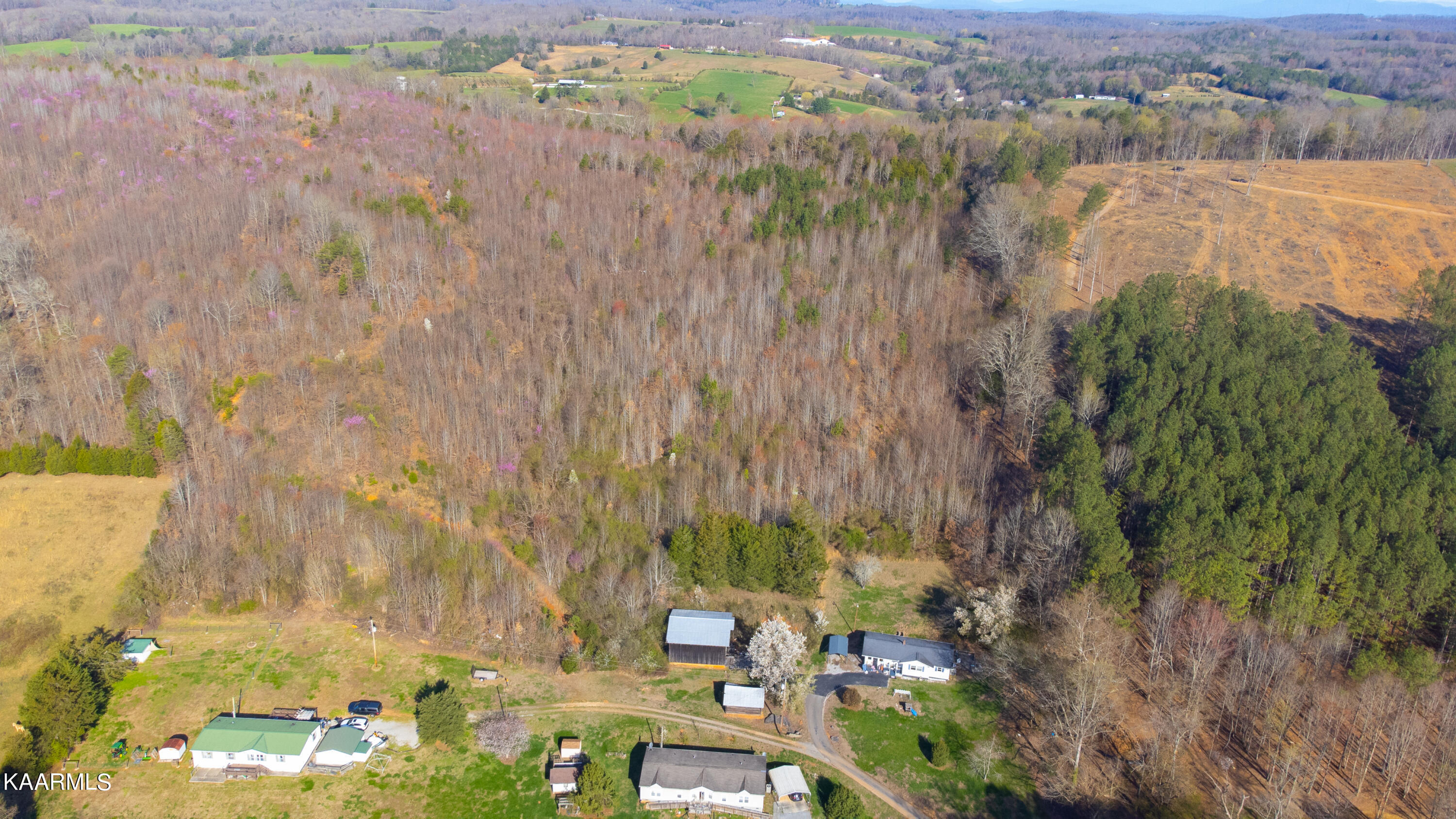 1741 Hubbard Road Loudon, TN 37774 - Photo 2 of 33 DJI_0812 (1)