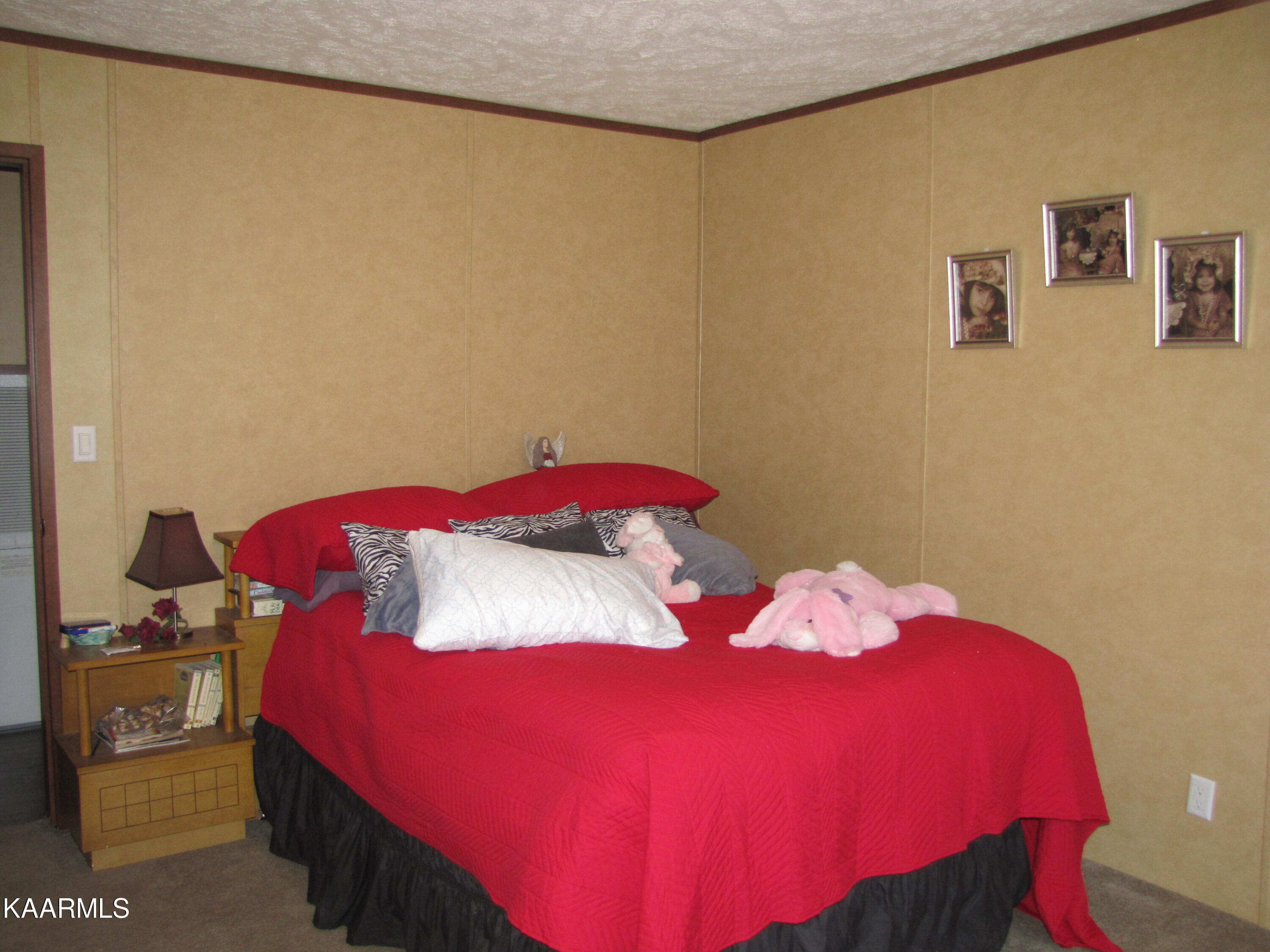 1741 Hubbard Road Loudon, TN 37774 - Photo 31 of 33 IMG_9838