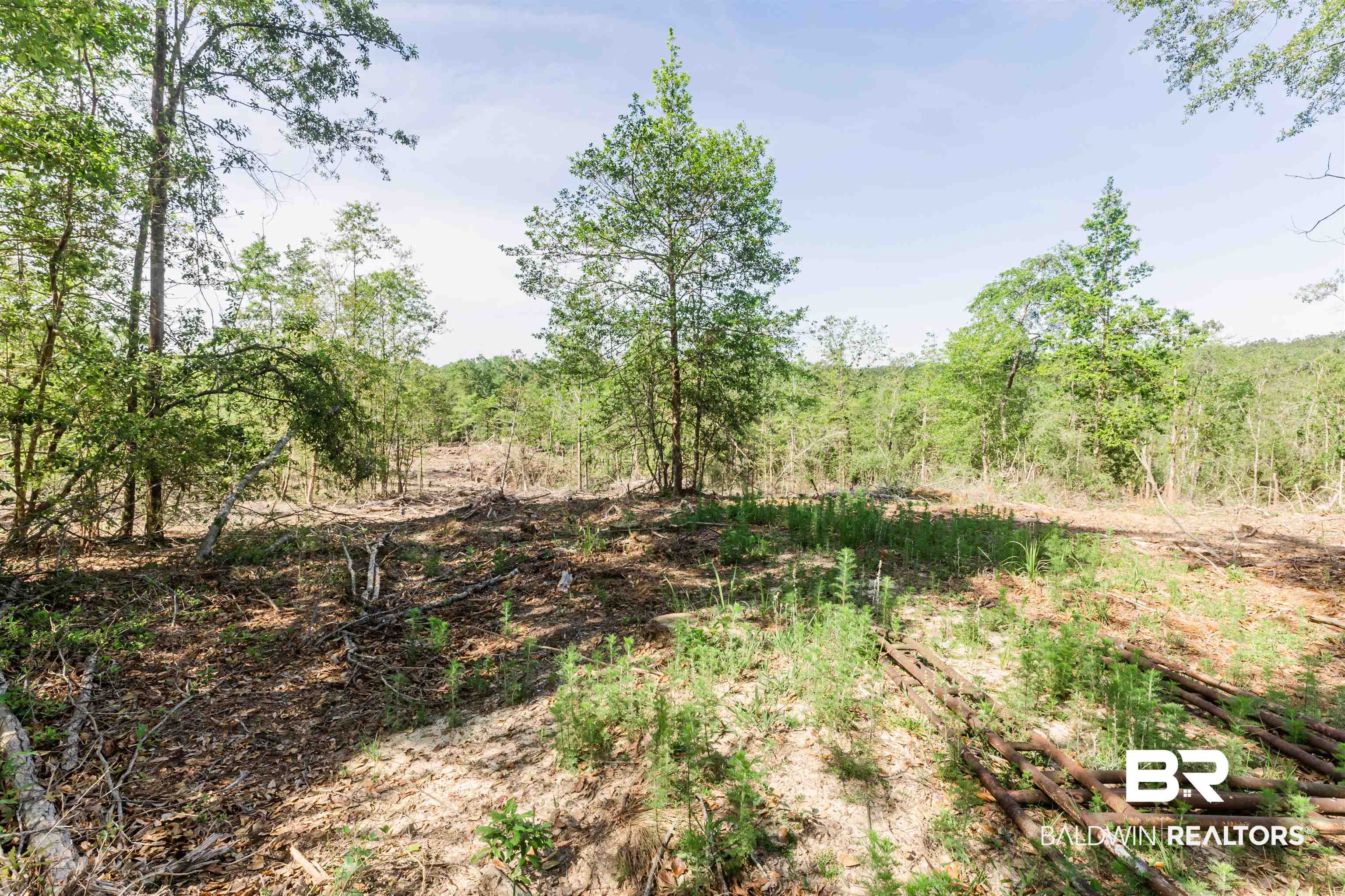 8255 A Bluett Tanner Road Wilmer, AL 36587 - Photo 16 of 27