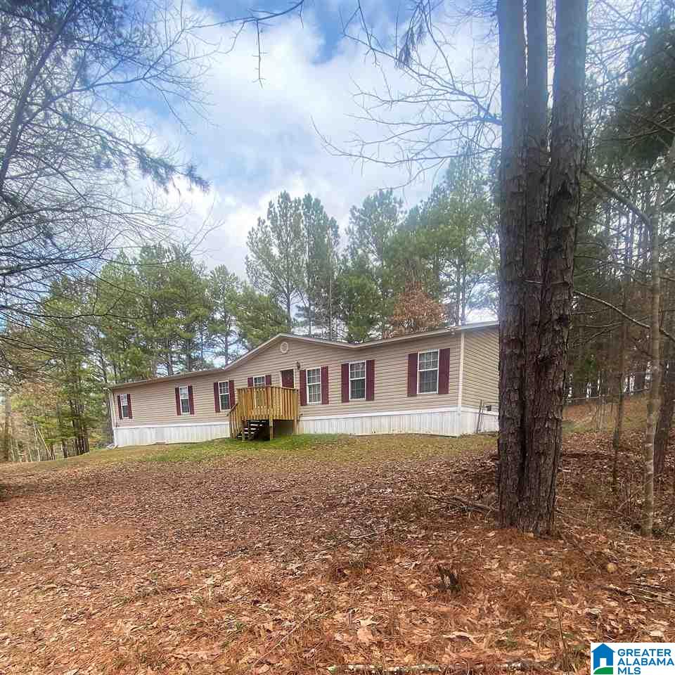 3672 Spunky Hollow Road Remlap, AL 35133 - Photo 30 of 34