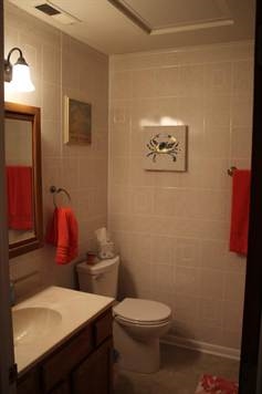 574 Sterrett Road Fairfield, VA 24435 - Photo 16 of 24 a bathroom with a toilet a sink and mirror