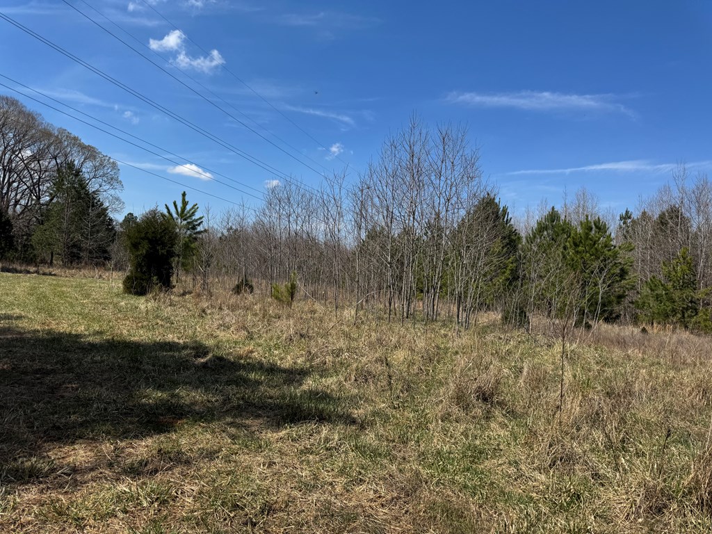 22 Stone Gate Farm Road Donalds, SC 29638 - Photo 18 of 26