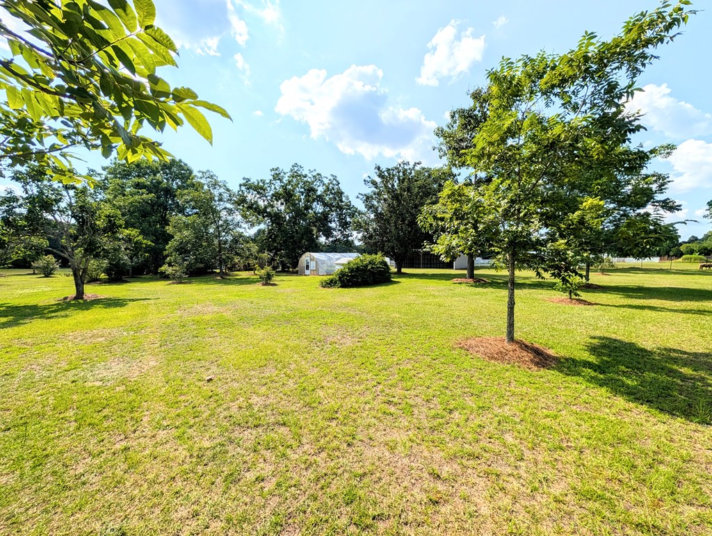 3117 Holland Road Newton, AL 36352 - Photo 52 of 78