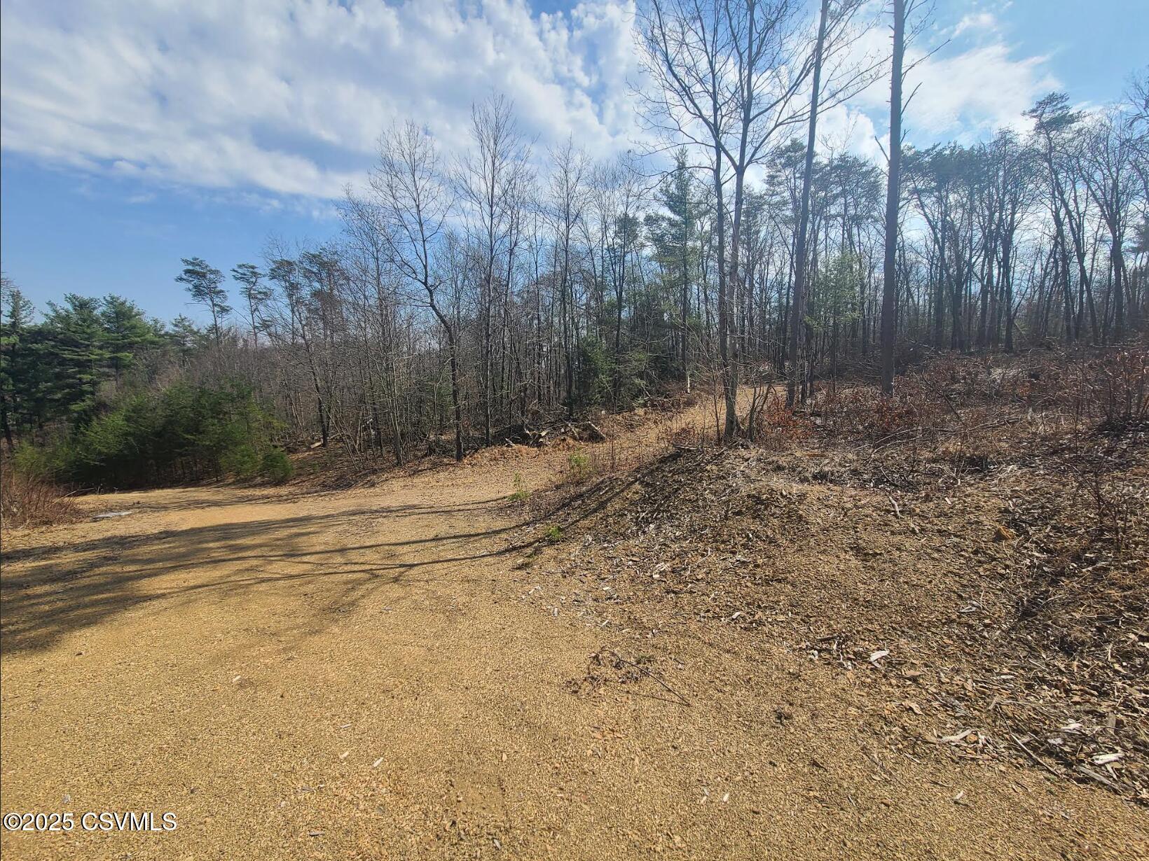Hollow Road Lewisburg, PA 17837 - Photo 2 of 4
