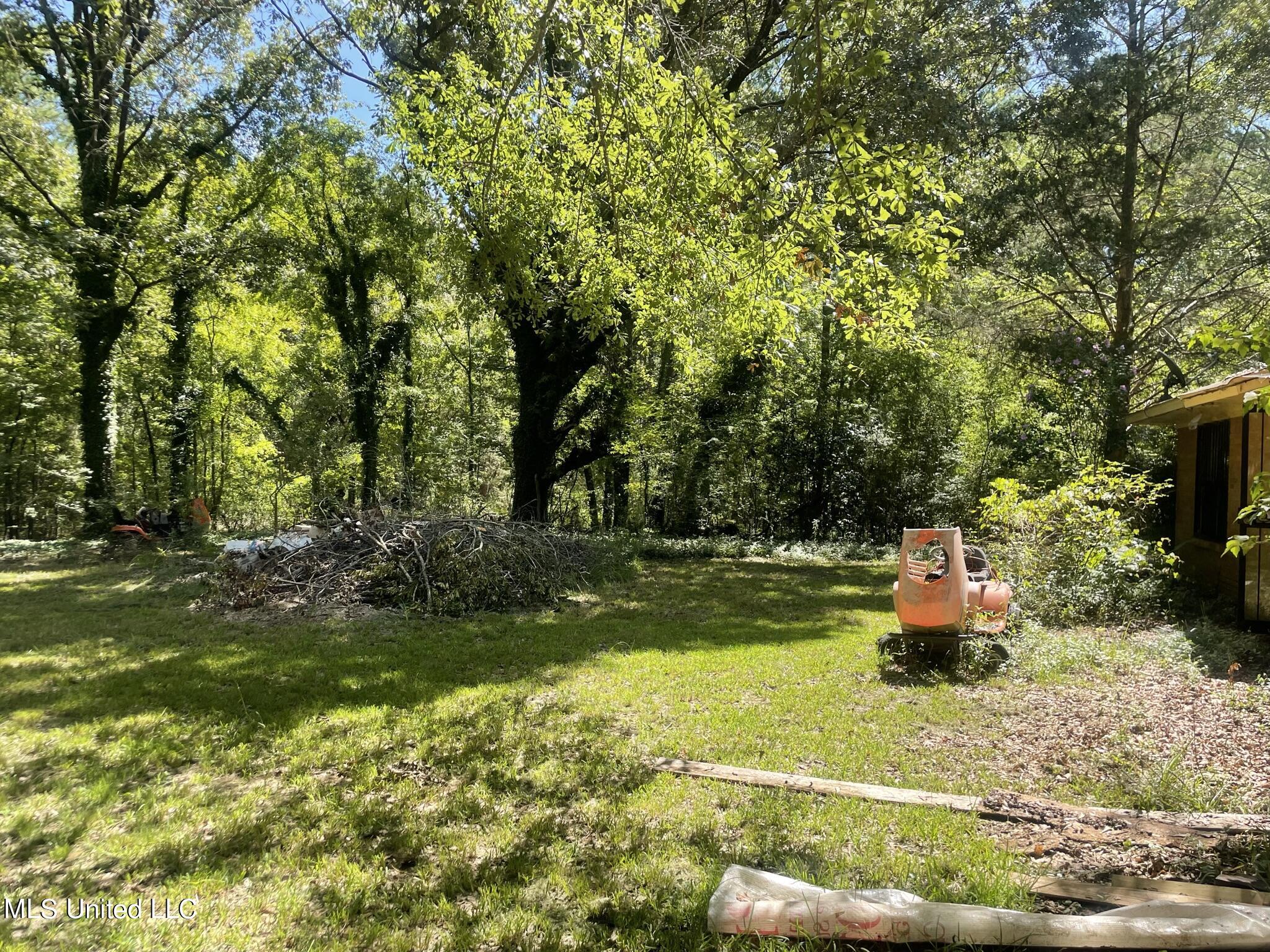 519 Davis Crossing Road Canton, MS 39046 - Photo 3 of 12 66528B0B-AC0C-4892-8945-97C9BEA6BABB