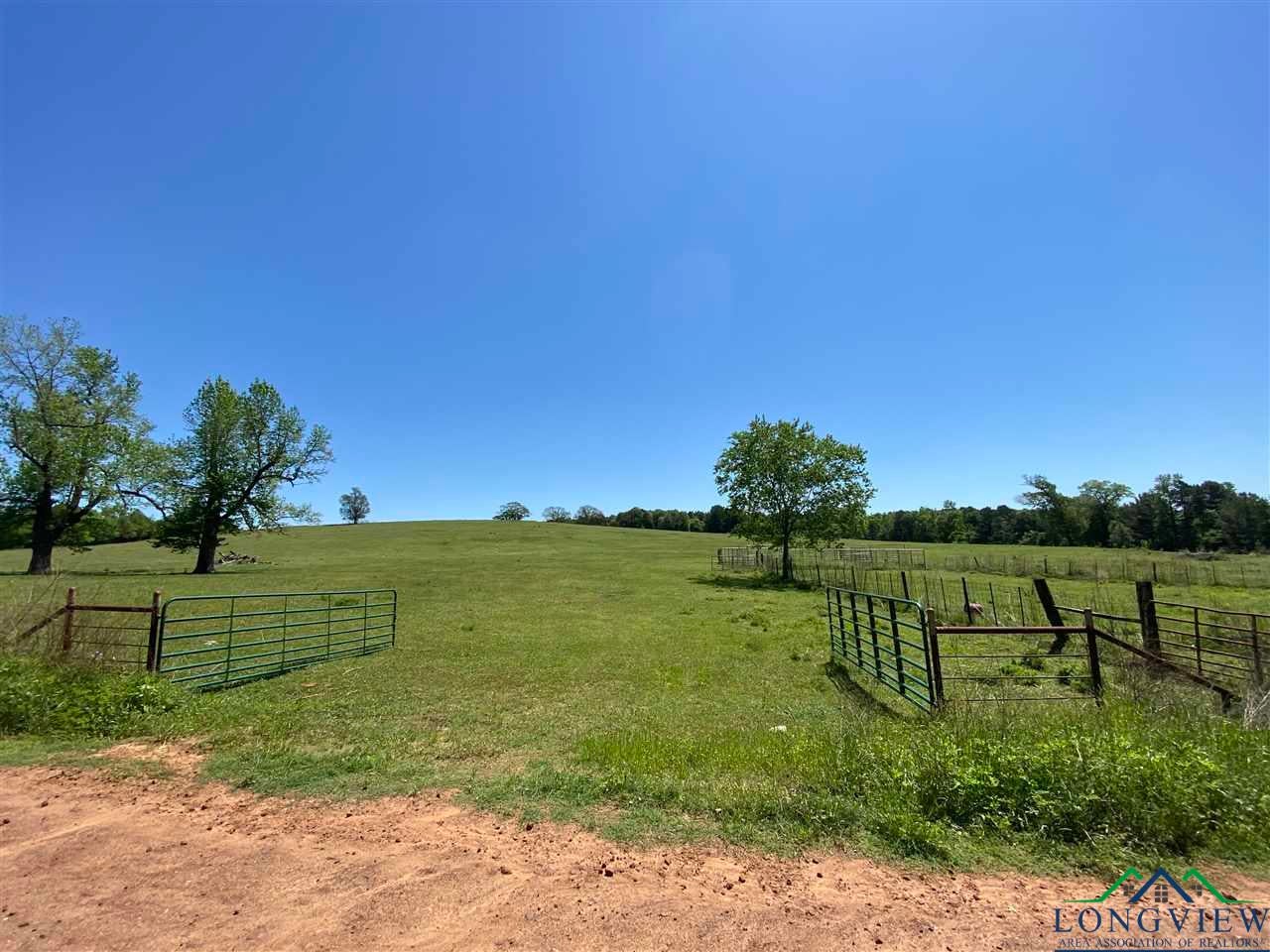 Tbd Orchid Road Ore City, TX 75683 - Photo 5 of 36 Gallery Image 5