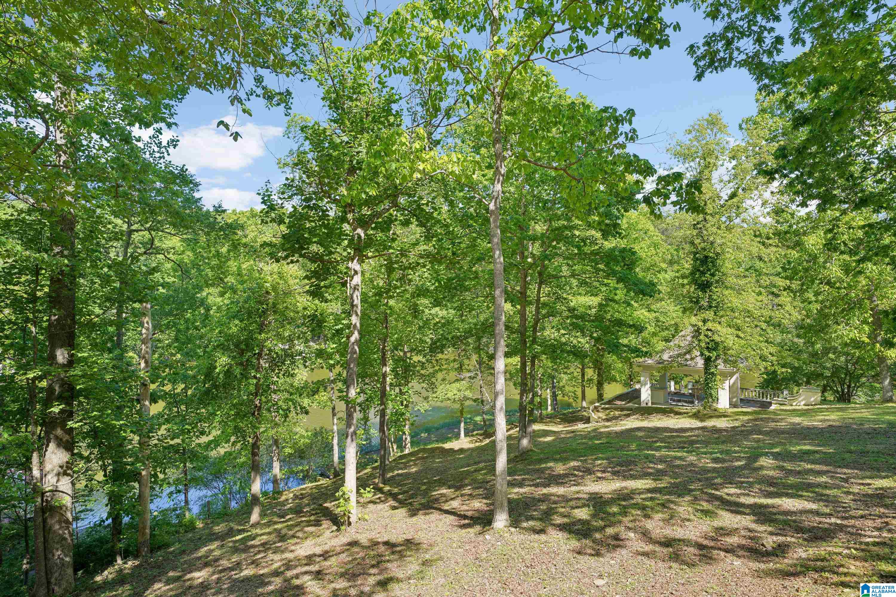 135 Sunset Boulevard Oneonta, AL 35121 - Photo 71 of 92