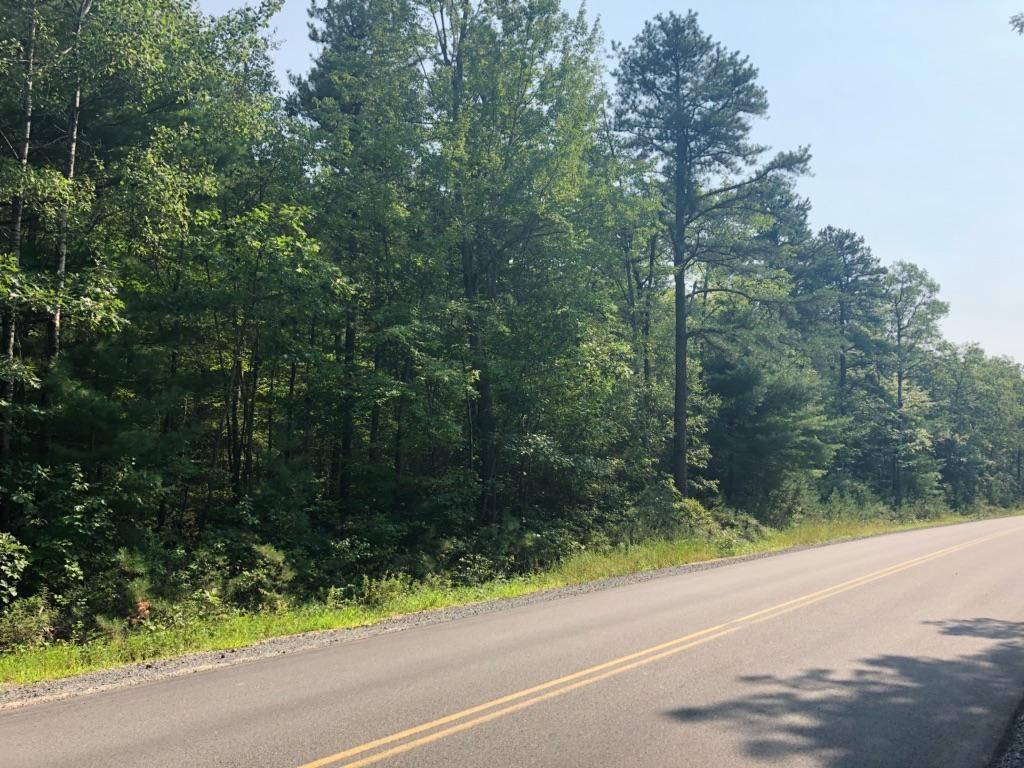 Lot 50 Mann Road West Newfield, ME 04095 - Photo 1 of 2 Lot 50 Mann Road, Newfield