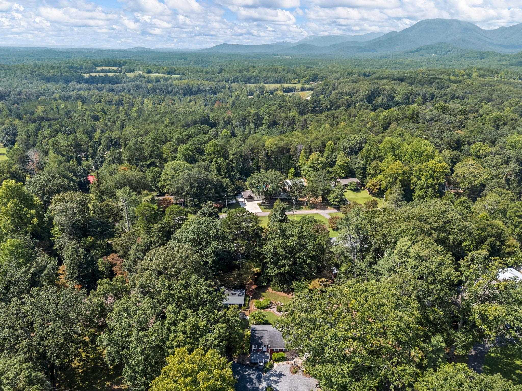 233 West Durham Street Landrum, SC 29356 - Photo 41 of 44