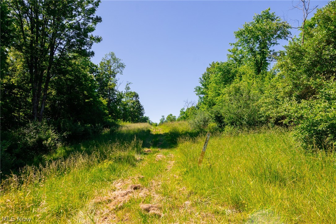 84143 Gilmore Ridge Road Cadiz, OH 43907 - Photo 4 of 32