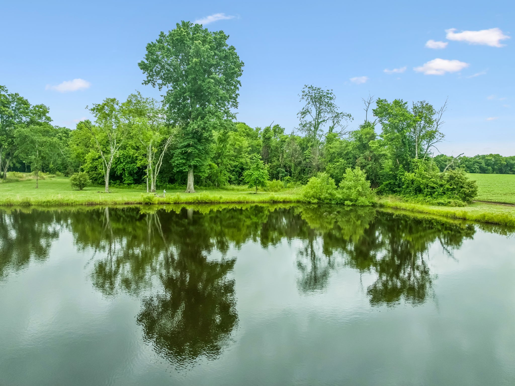 280 Kingdom Road Unionville, TN 37180 - Photo 37 of 65 a view of a lake with a yard