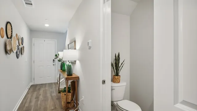 a living room with furniture a lamp and a potted plant