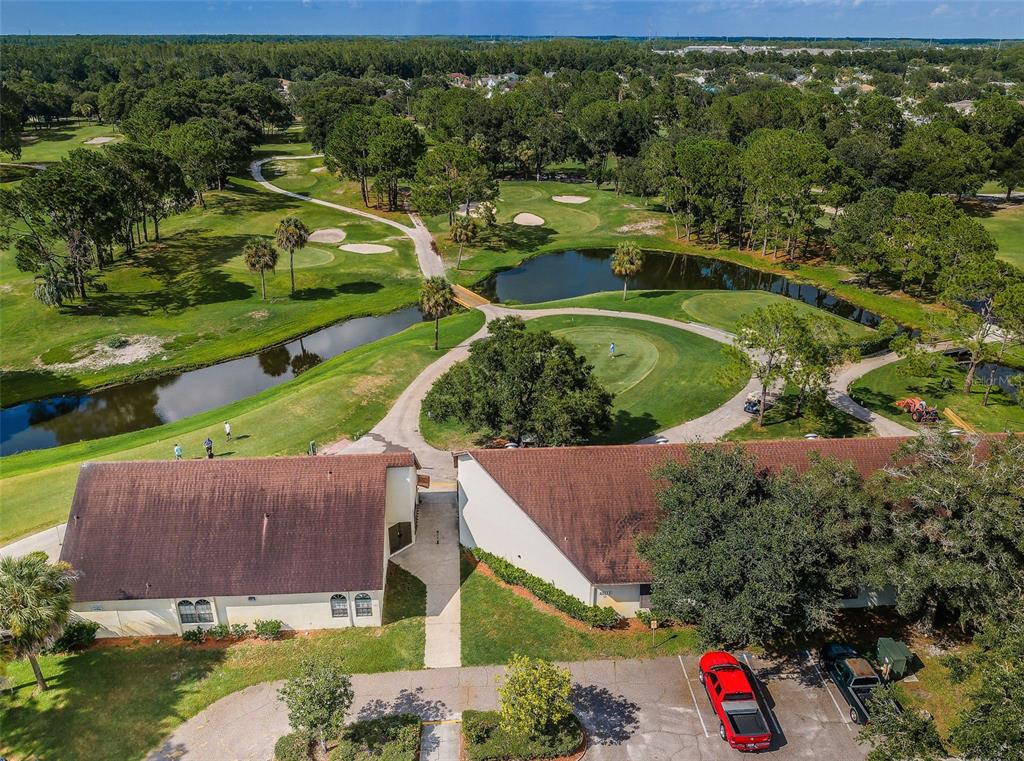 11916 Snapdragon Road Tampa, FL 33635 - Photo 56 of 64 Gallery Image 56