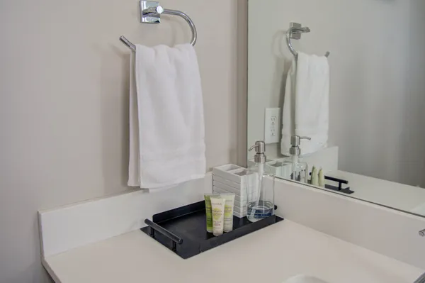 a bathroom with a double vanity sink and a mirror