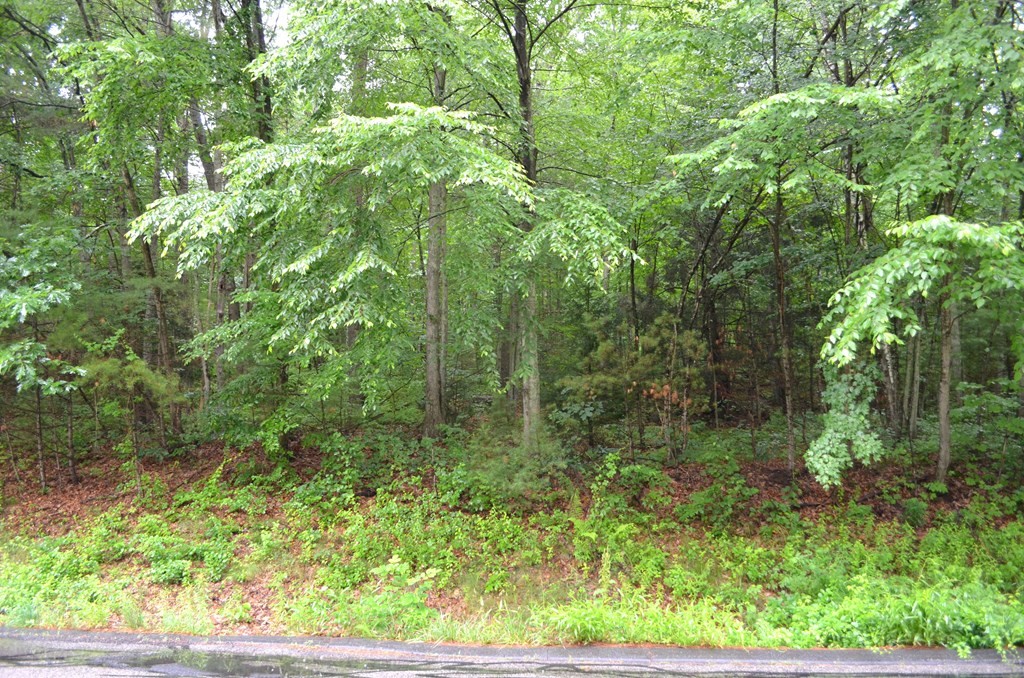 34 Coffey Hill Road Ware, MA 01082 - Photo 4 of 4 Gallery Image 4