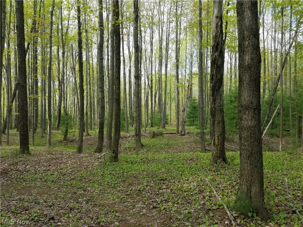 9975 Plank Road Montville, OH 44064 - Photo 13 of 31 Gallery Image 13