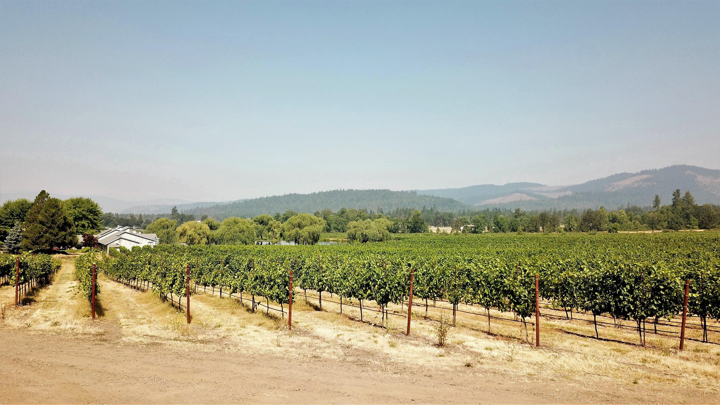 7821 Holland Loop Road Cave Junction, OR 97523 - Photo 13 of 41 Gallery Image 13