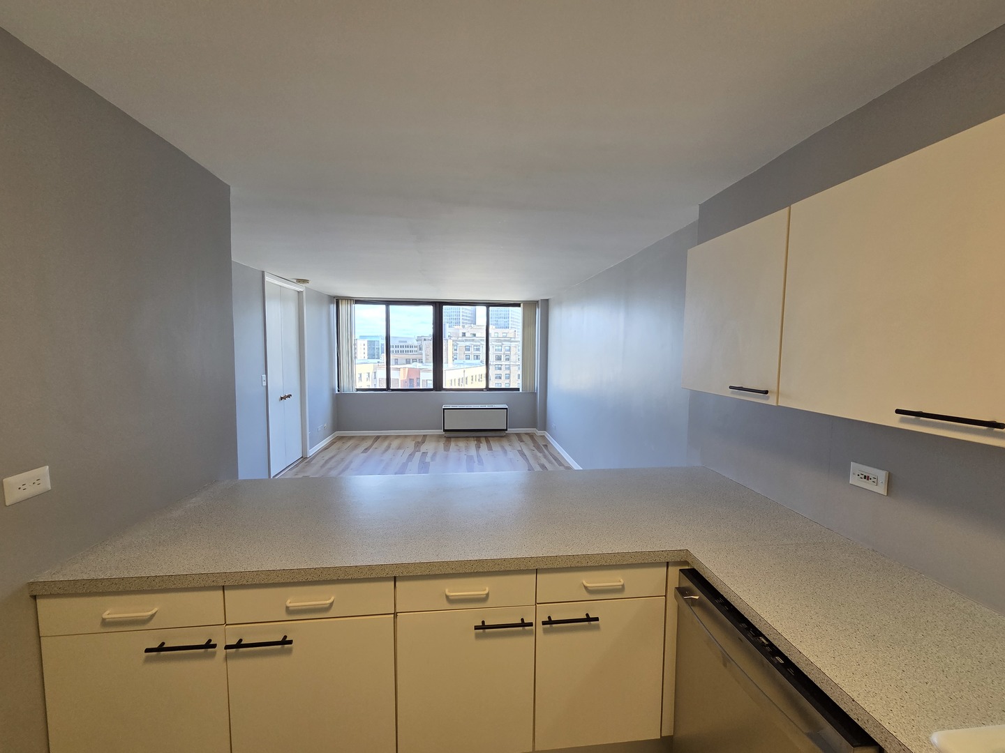 2754 North Hampden Court, Unit 1407 Chicago, IL 60614 - Photo 5 of 23