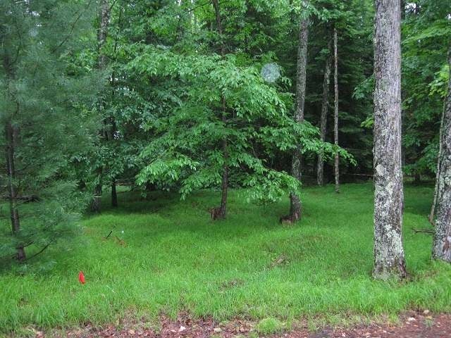 3410 Limber Lost Road Rhinelander, WI 54501 - Photo 18 of 20 Gallery Image 18