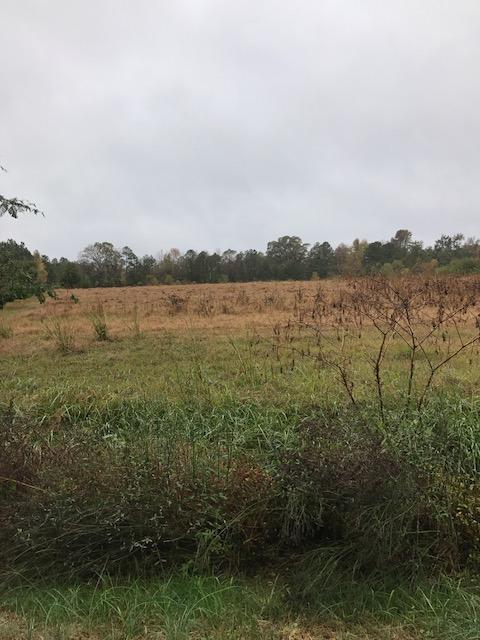 208 South Horace Walters Road Raeford, NC 28376 - Photo 1 of 1 208 S Horace Walters Rd
