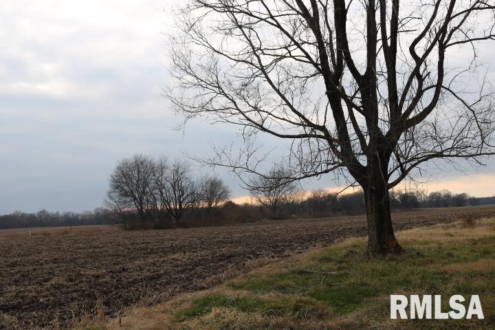 9292 Fallview Road Baldwin, IL 62217 - Photo 20 of 23