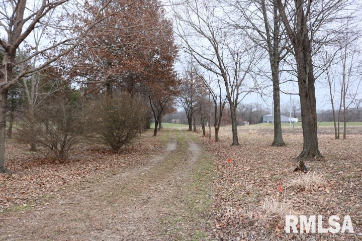 9292 Fallview Road Baldwin, IL 62217 - Photo 2 of 23