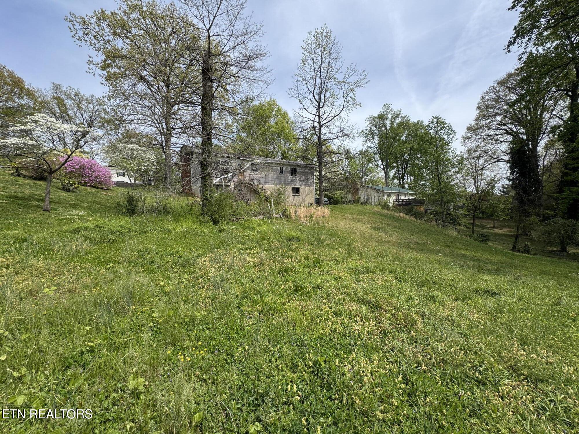 4520 Royalview Road Knoxville, TN 37921 - Photo 6 of 33 6