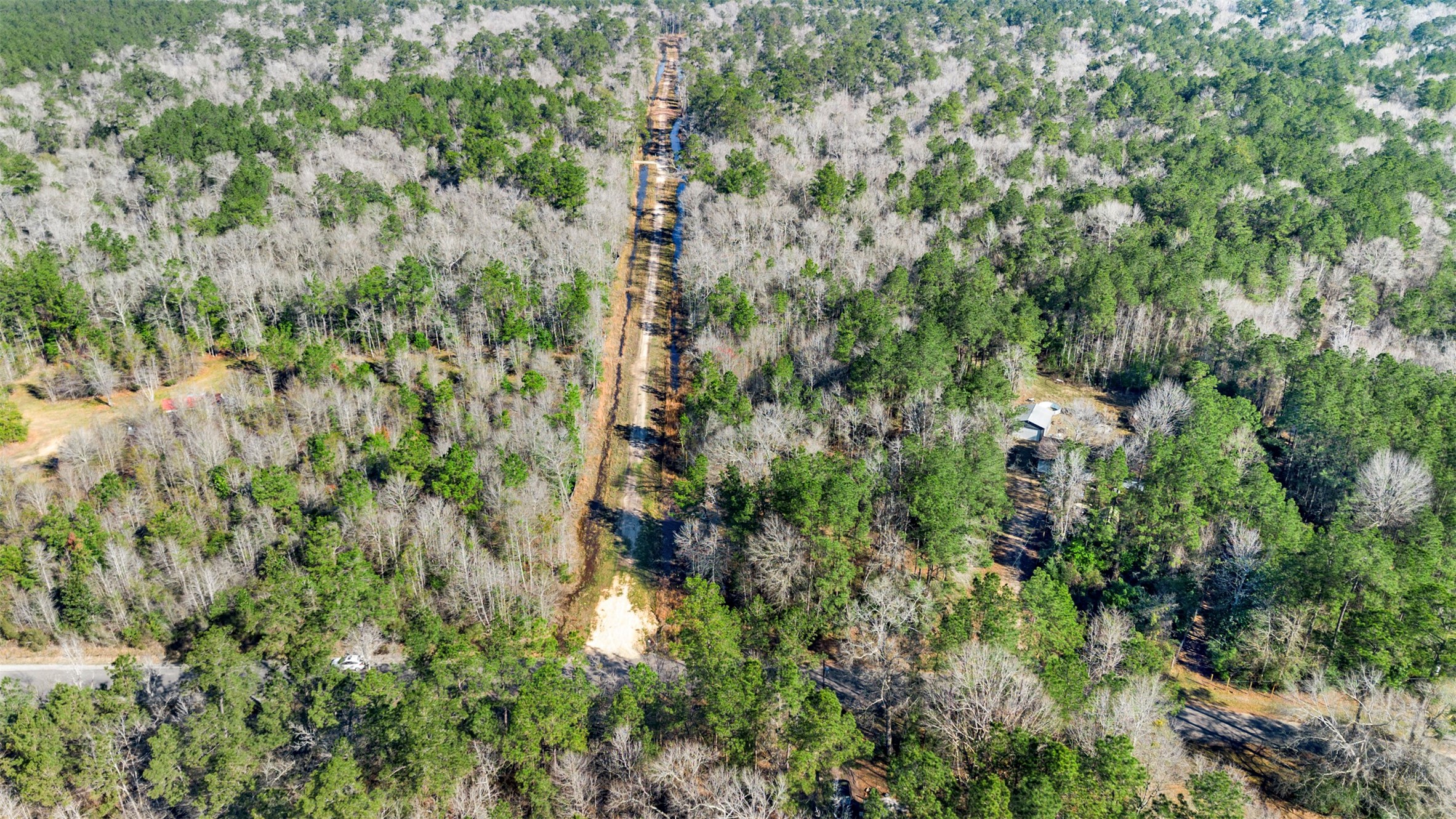 12310 Picos Road Saratoga, TX 77585 - Photo 11 of 11 a view of a forest with a tree