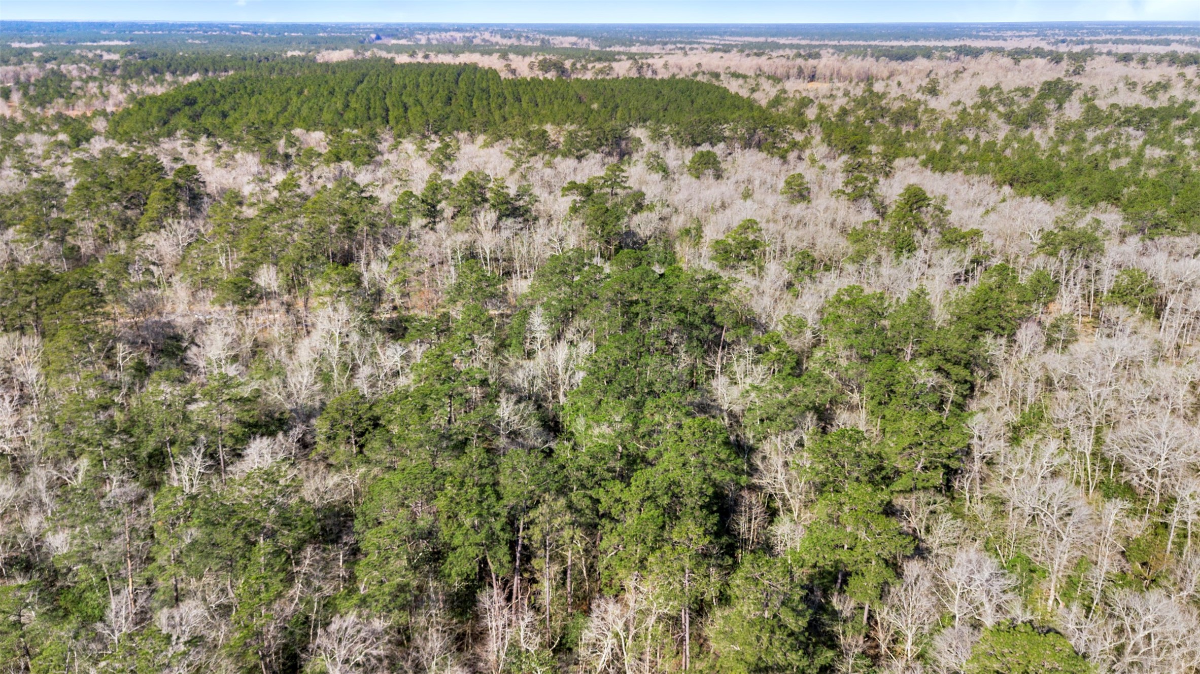 12310 Picos Road Saratoga, TX 77585 - Photo 3 of 11 a view of a green field