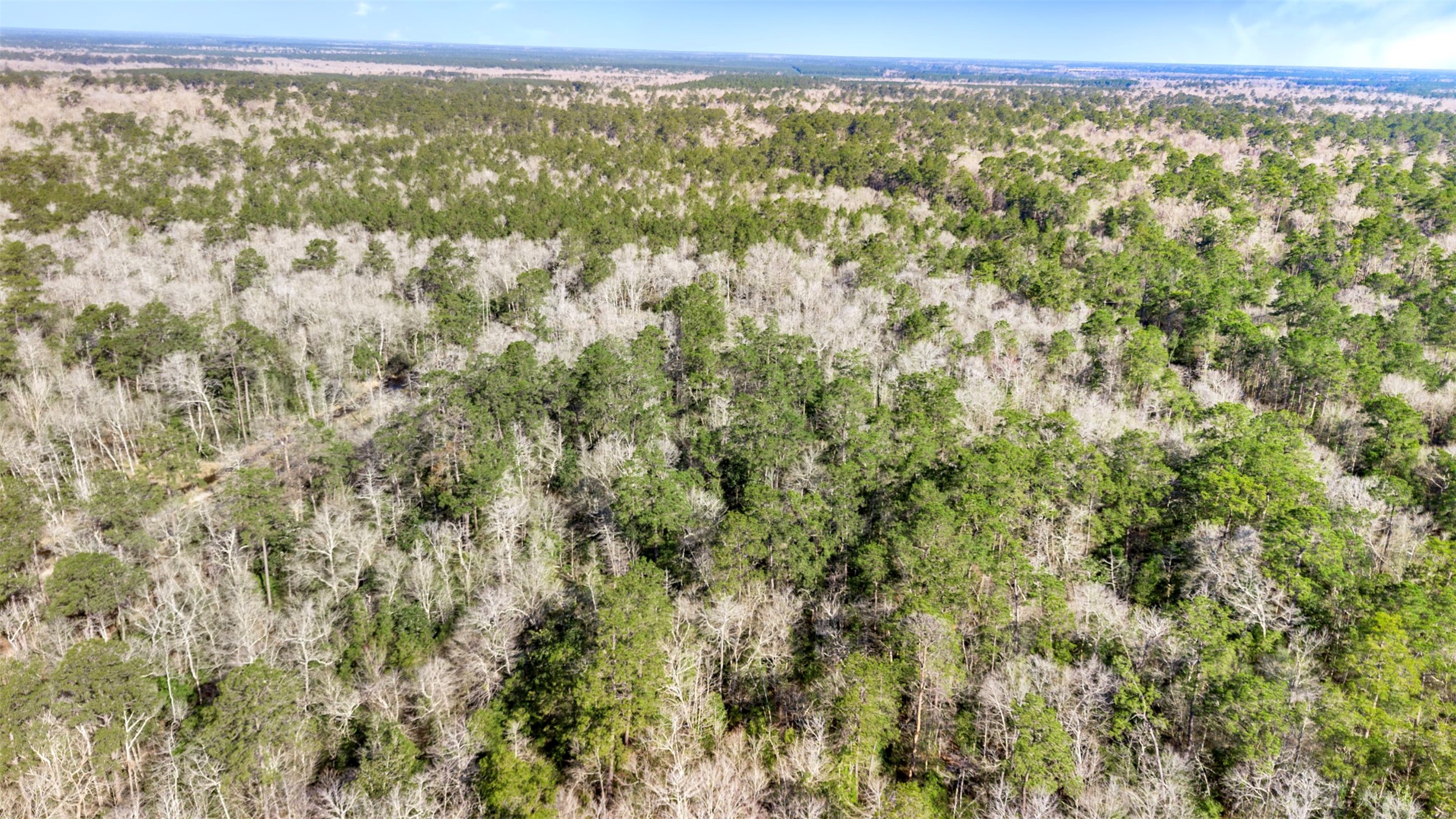 12310 Picos Road Saratoga, TX 77585 - Photo 4 of 11 a view of an outdoor space and a lake view