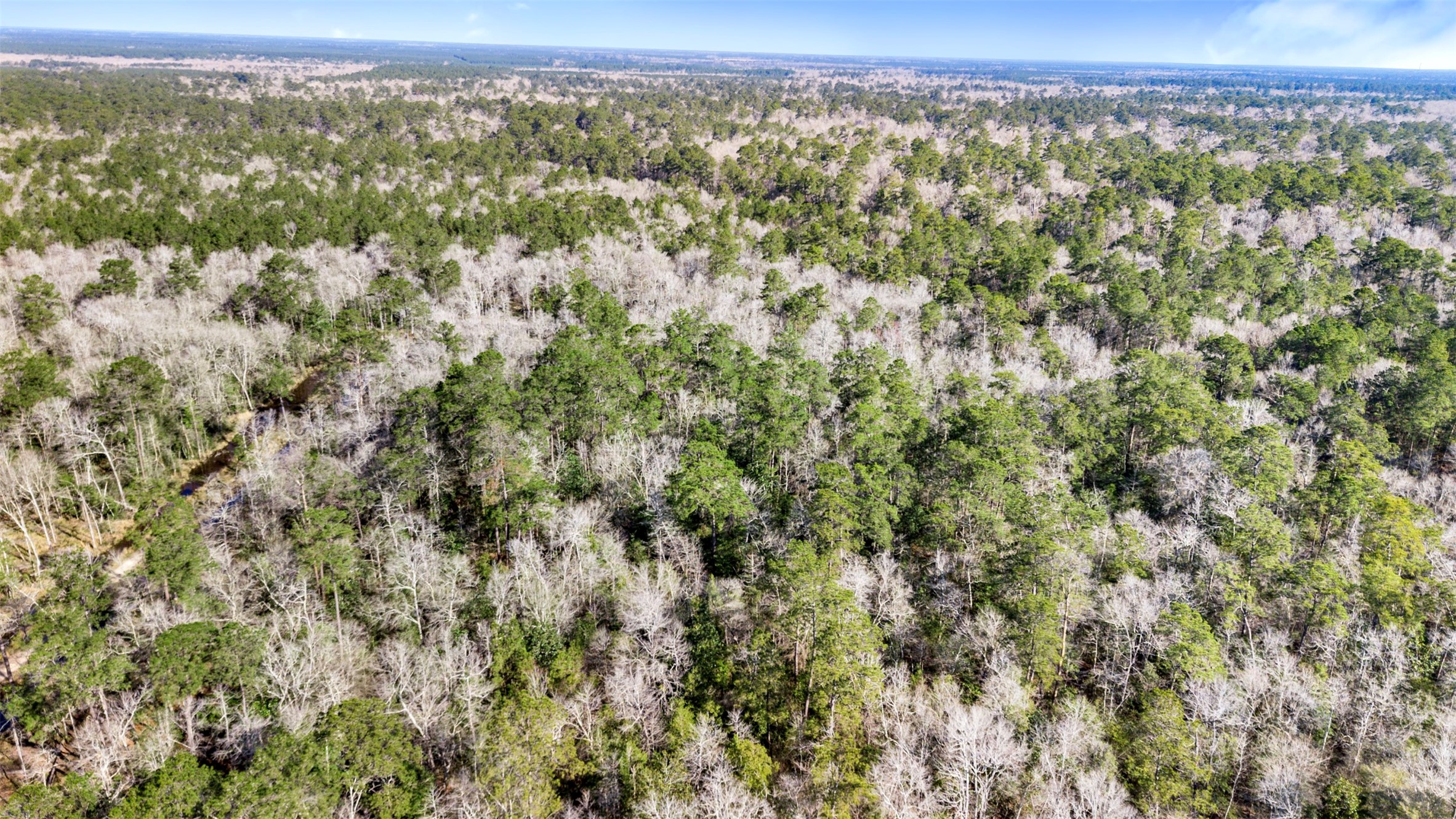 12310 Picos Road Saratoga, TX 77585 - Photo 5 of 11 a view of a city with lush green forest