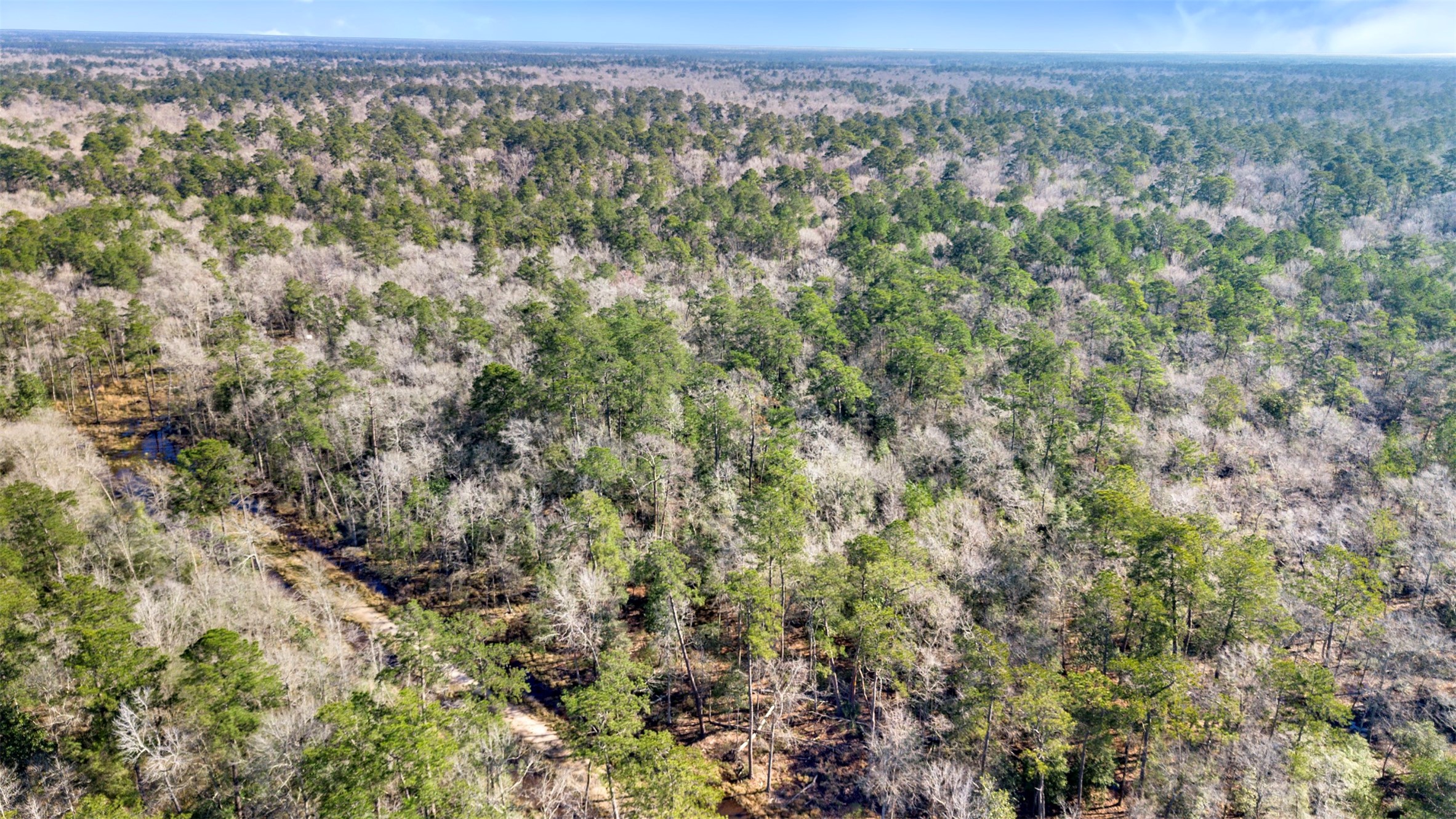 12310 Picos Road Saratoga, TX 77585 - Photo 7 of 11 an aerial view of forest