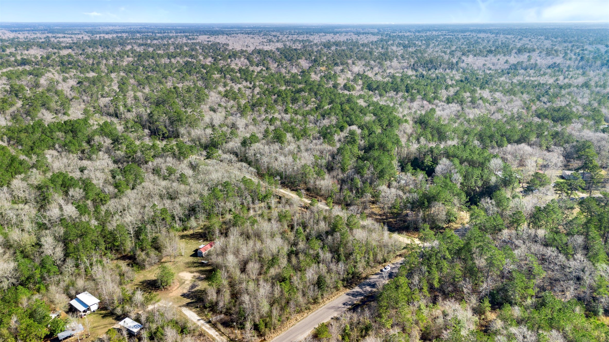 12310 Picos Road Saratoga, TX 77585 - Photo 10 of 11 a view of a city with lush green forest