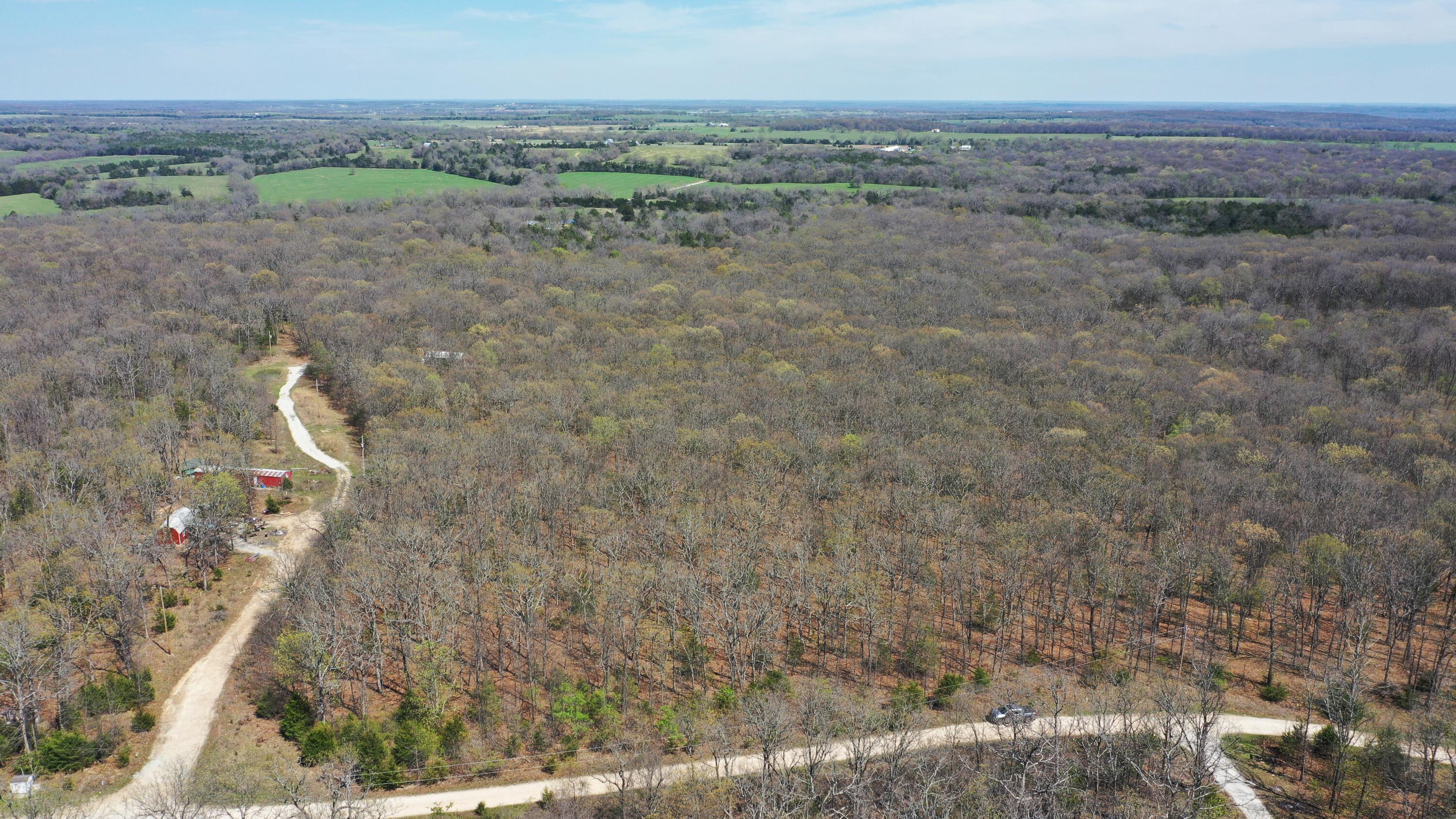 Lot 17 South 50th Road Humansville, MO 65674 - Photo 2 of 7 DJI_0841