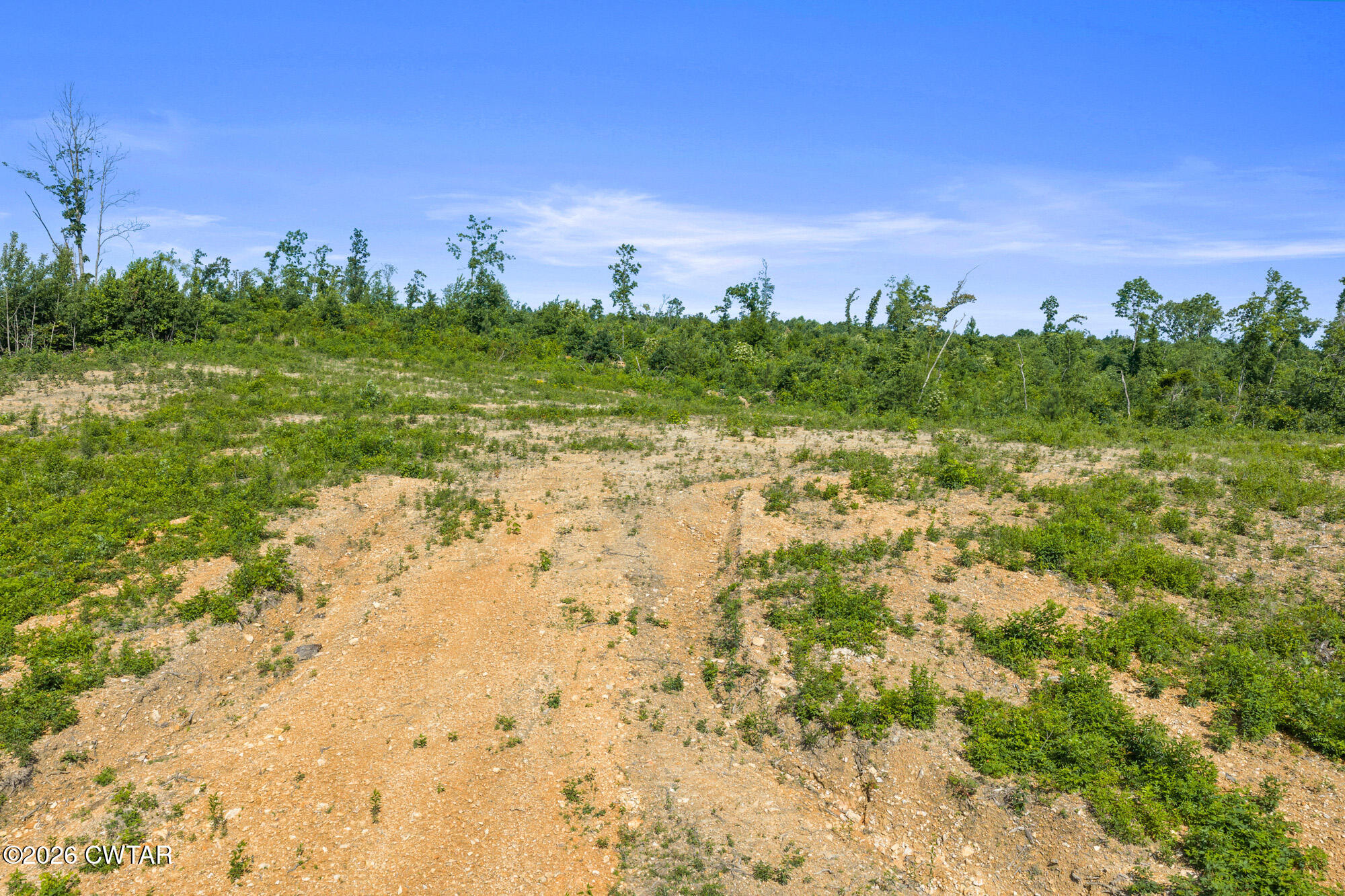 0 Coxburg Road Holladay, TN 38341 - Photo 13 of 18 DJI_20260613093234_0057_D