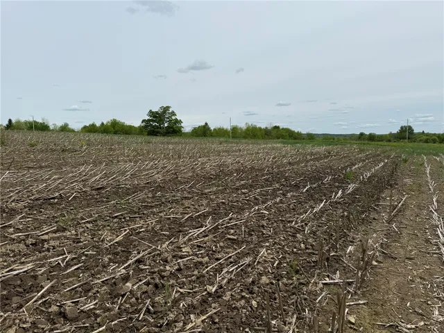 $23,900 | 7 County Road 7, McDonough, NY 13801