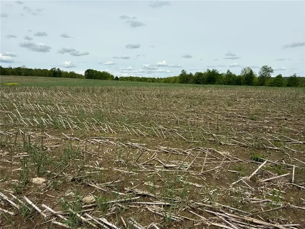 $23,900 | 7 County Road 7, McDonough, NY 13801