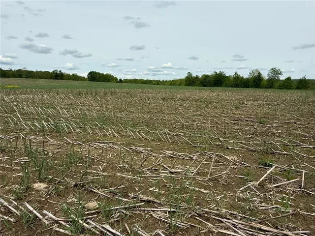 $23,900 | 7 County Road 7, McDonough, NY 13801