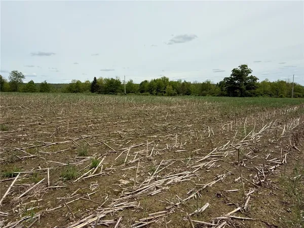 $23,900 | 7 County Road 7, McDonough, NY 13801