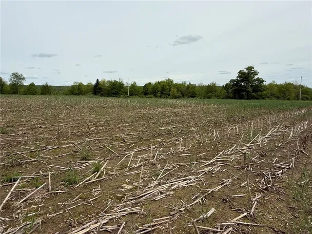 $23,900 | 7 County Road 7, McDonough, NY 13801