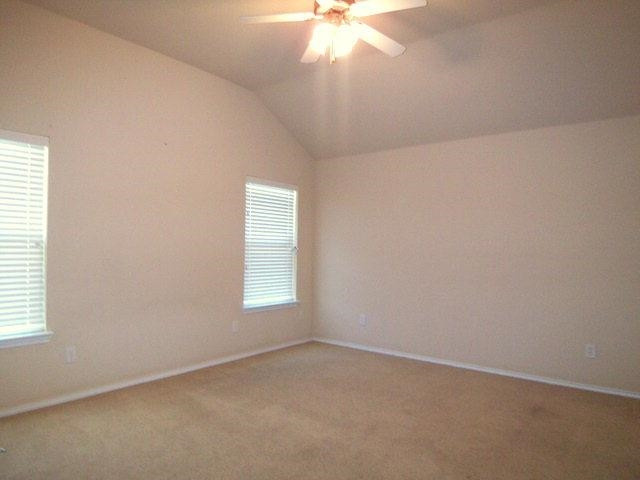 6908 36th Street Lubbock, TX 79407 - Photo 9 of 10 Photo 9