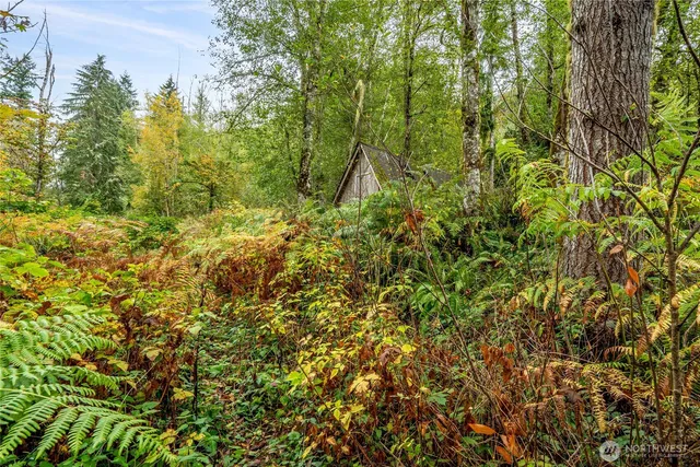 $125,000 | 0 Mineral Hill Road, Mineral, WA 98355