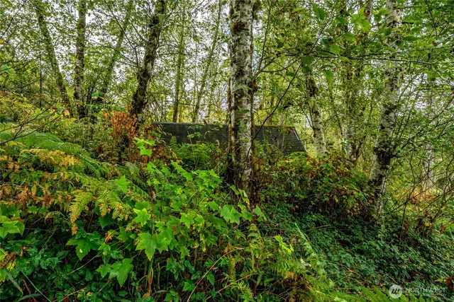 $125,000 | 0 Mineral Hill Road, Mineral, WA 98355