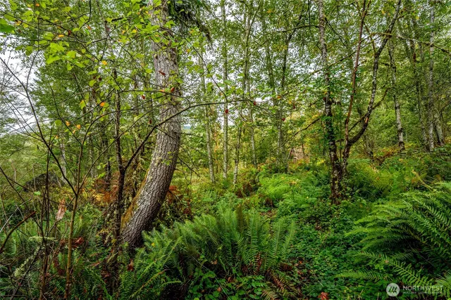 $125,000 | 0 Mineral Hill Road, Mineral, WA 98355