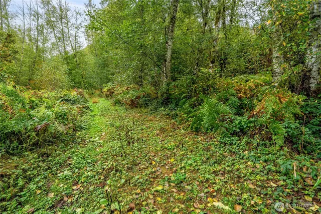 $125,000 | 0 Mineral Hill Road, Mineral, WA 98355