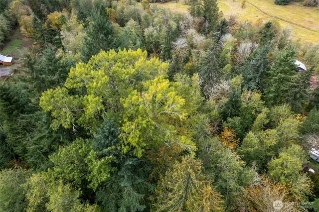 $125,000 | 0 Mineral Hill Road, Mineral, WA 98355