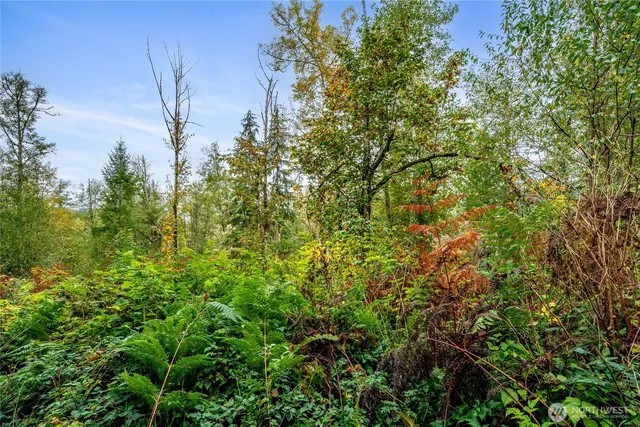 $125,000 | 0 Mineral Hill Road, Mineral, WA 98355