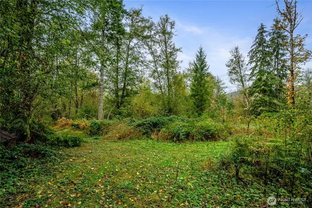 $125,000 | 0 Mineral Hill Road, Mineral, WA 98355