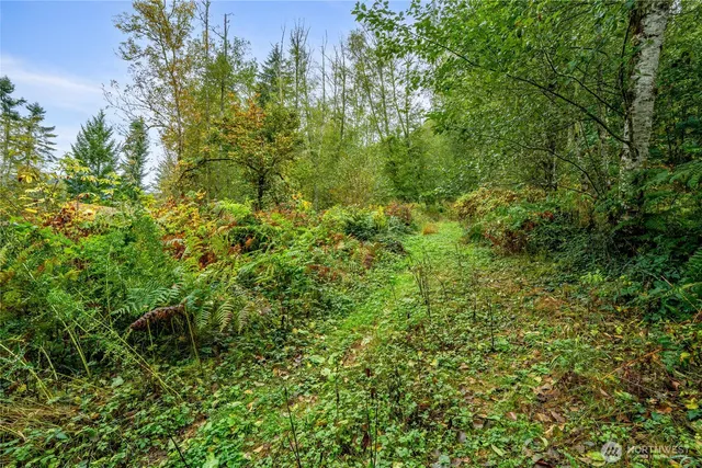 $125,000 | 0 Mineral Hill Road, Mineral, WA 98355